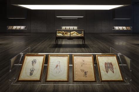 mostra cere anatomiche fondazione prada|“Cere anatomiche”, in Fondazione Prada, varca la nostra .